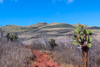 0390 Galapagos 