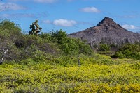 0443 Galapagos 