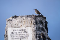 0776 Galapagos 