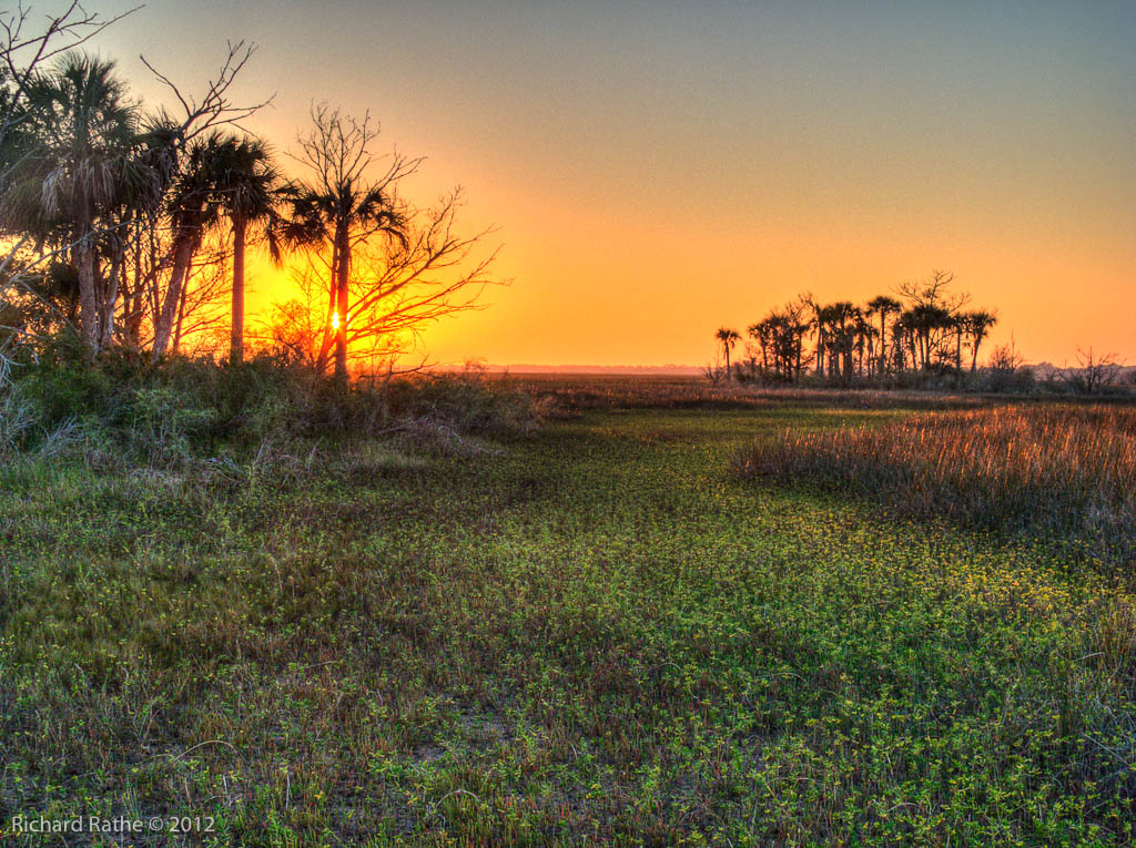 Hall Creek Sunset