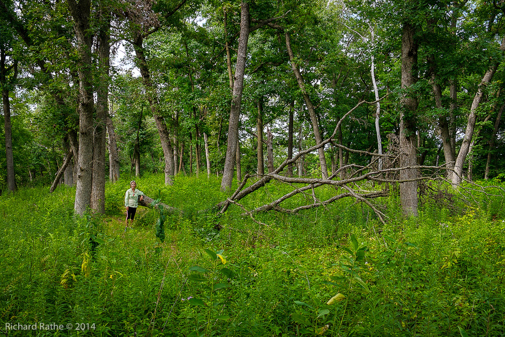 Oak Prairie