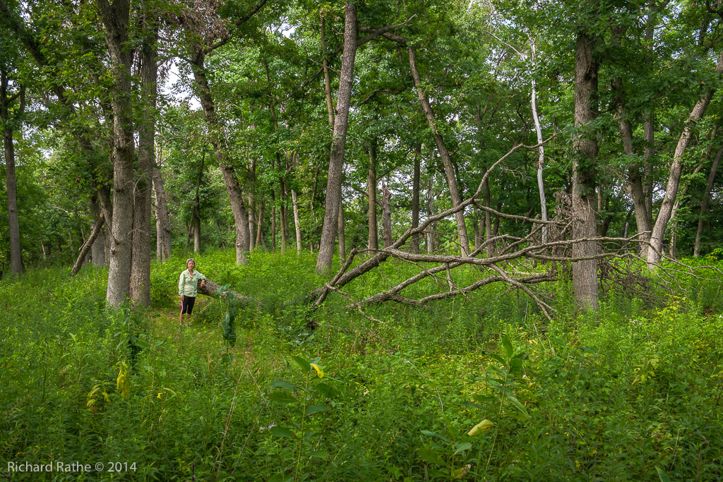 Oak Prairie