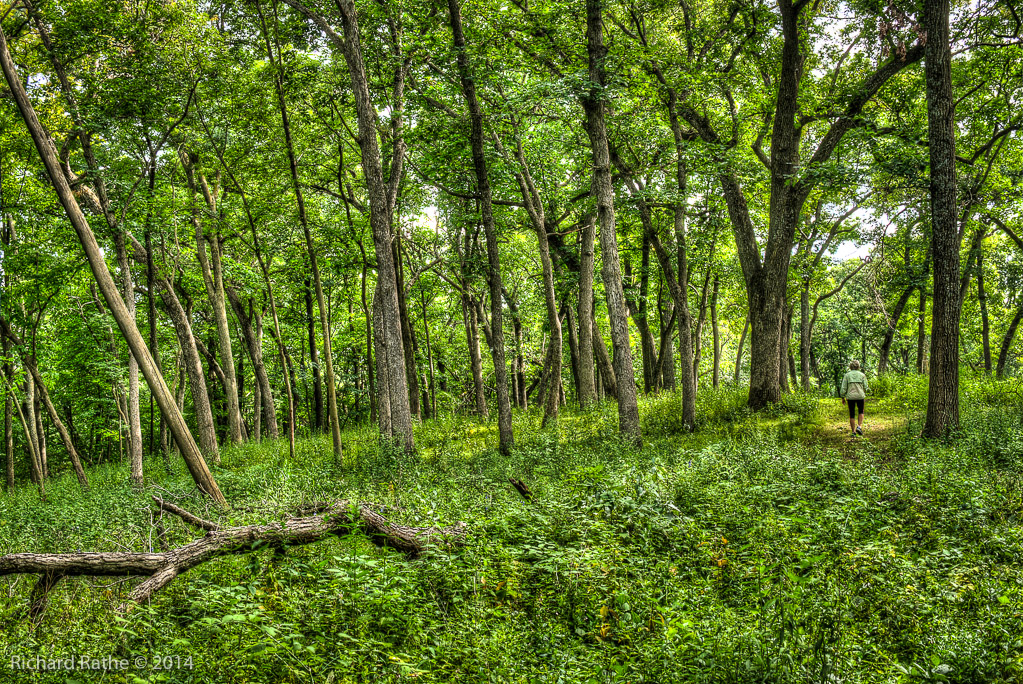 Oak Prairie