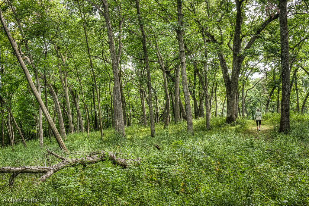 Oak Prairie