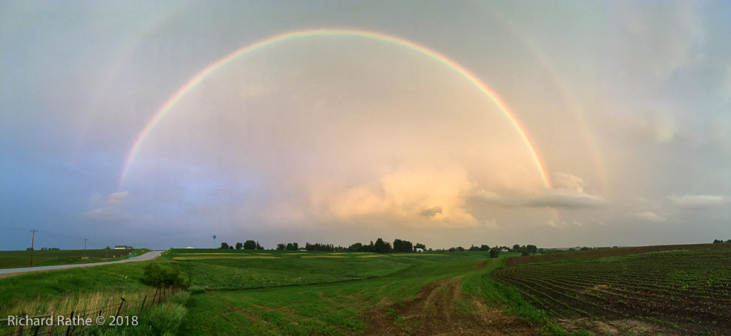 Wisconsin Rainbow