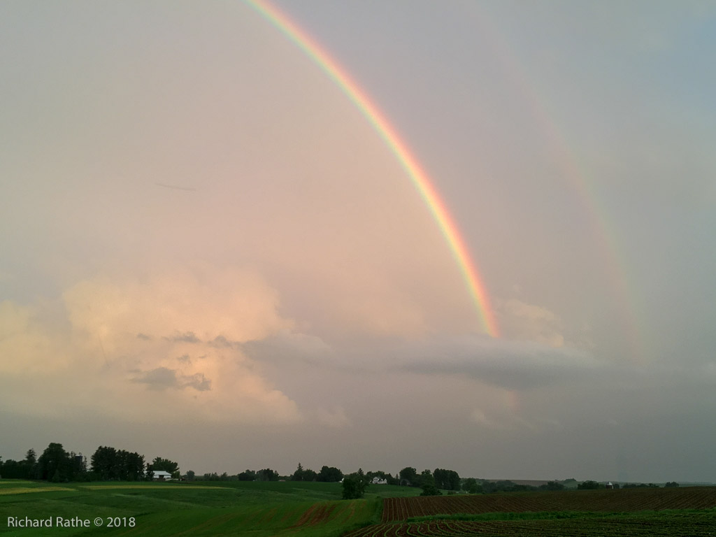 Wisconsin Rainbow