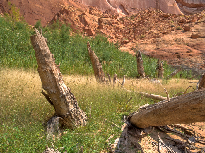 lake-powell-2020-19.jpg