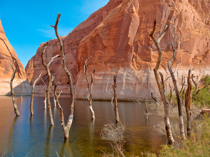 lake-powell-2020-24.jpg