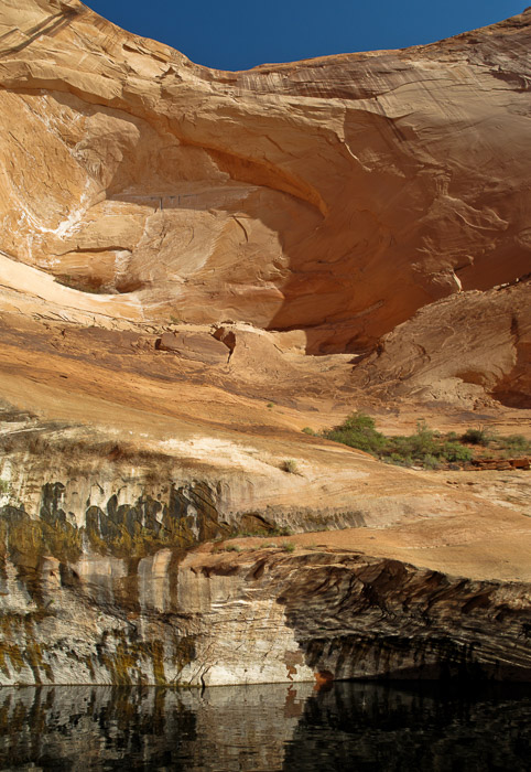 Vertical Panorama