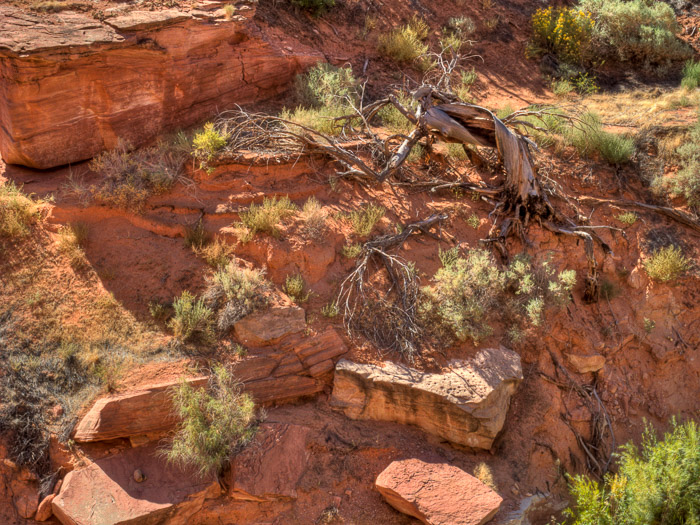 lake-powell-2020-50.jpg