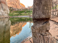 0126 Lake Powell Utah 2020 