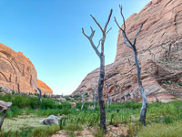 0127 Lake Powell Utah 2020 