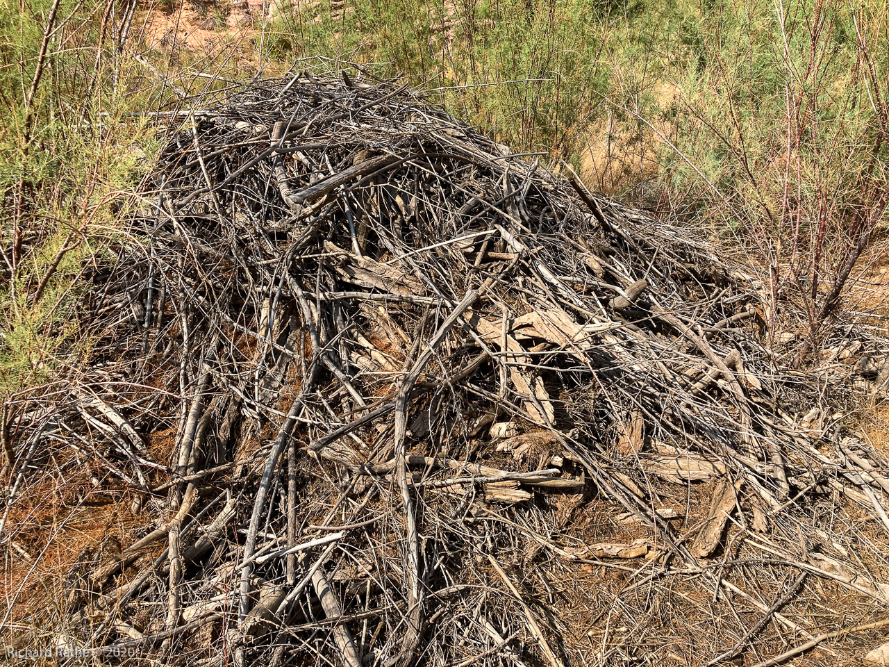 Old Beaver Lodge