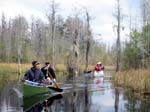 08-upper-suwannee