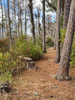 057 Okefenokee 2021 Coffee Bay Platform