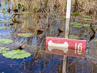 1016 Okefenokee 2024 Sign 