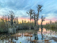 1027 Okefenokee 2024 Big Water Chickee