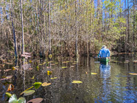 1036 Okefenokee 2024 Sign 