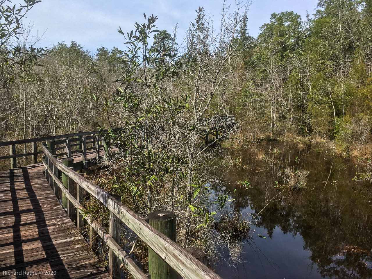 Clear Creek Boardwalk