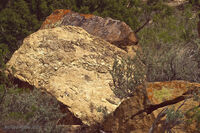 Nine Mile Canyon 095