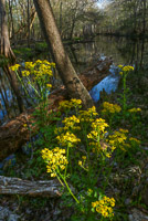 0011 Santa Fe River 