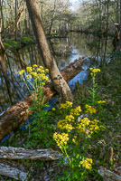 0012 Santa Fe River 
