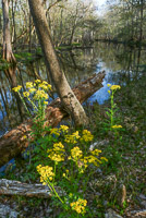 0013 Santa Fe River 