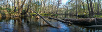 0015 Panorama Santa Fe River 