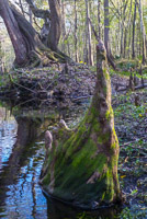 0016 Santa Fe River 