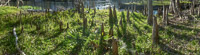 0019 Panorama Santa Fe River 