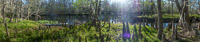 0020 Panorama Santa Fe River 