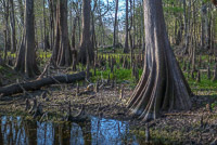 0028 Santa Fe River 
