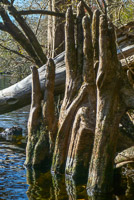 0034 Santa Fe River 