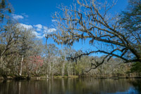 0039 Santa Fe River 