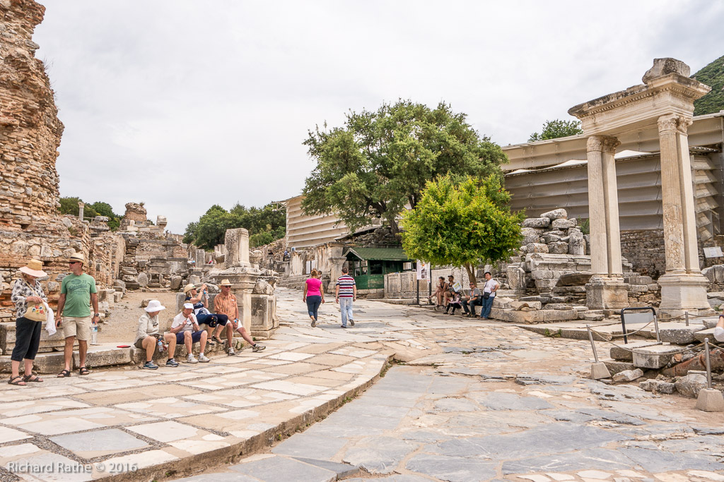 Larger Tree Marks The Octagon (Possible Tomb of Arsinoe, Cleopatra's Half Sister)