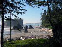 011 Ruby Beach1