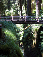 022 Sol Duc Bridge1
