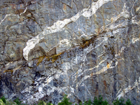 053 Cascade Rock