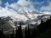102 Rainier Mountain