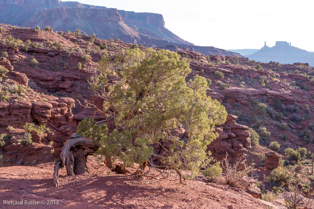 Fisher Towers 