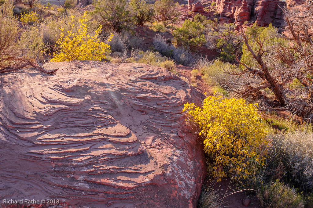 Fisher Towers 